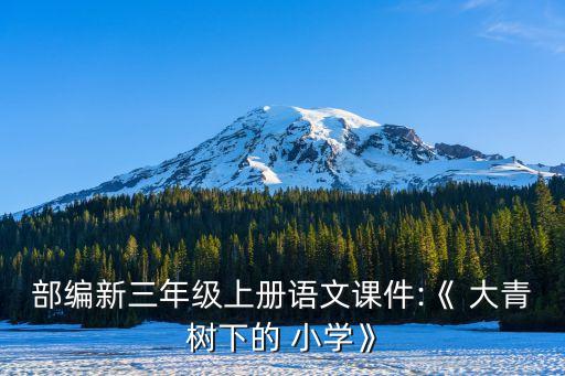 大青树下的小学学区房怎么样