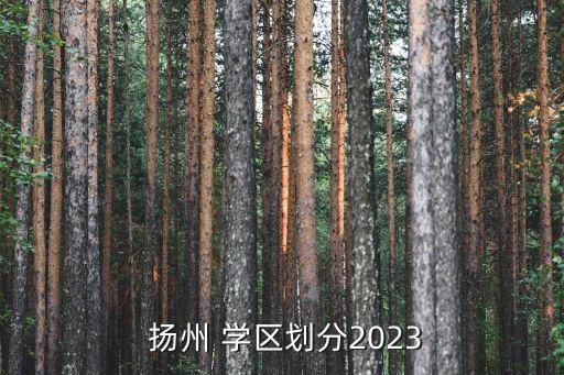  扬州 学区划分2023