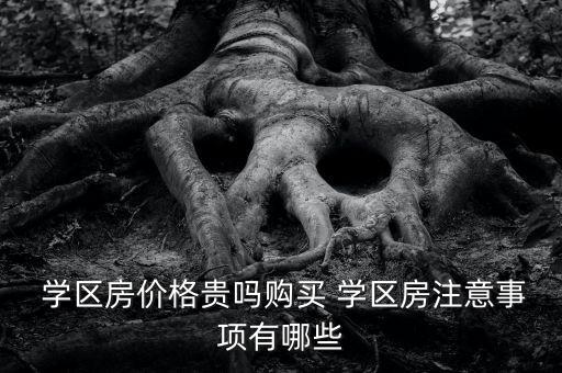  学区房价格贵吗购买 学区房注意事项有哪些