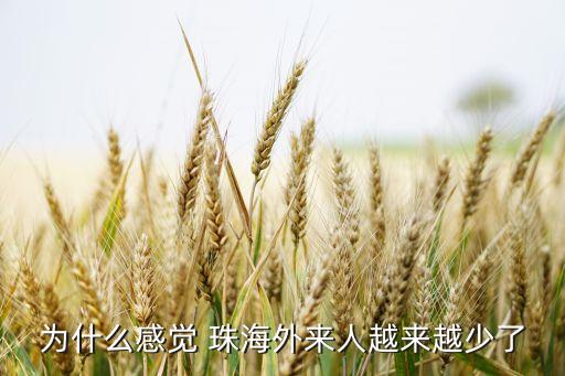 珠海金湾区房价,广东珠海金湾区房价