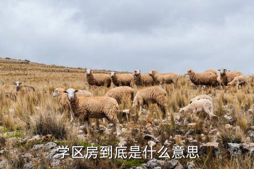 新楼盘学区房学区怎么定义