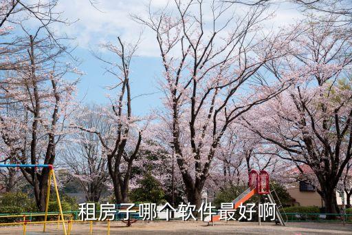  租房子哪个软件最好啊