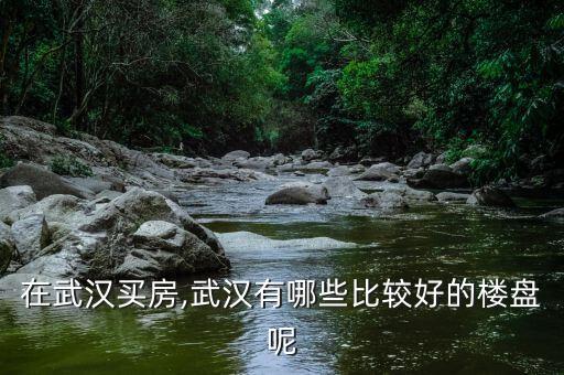 在武汉买房,武汉有哪些比较好的楼盘呢