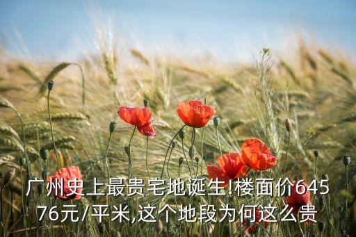 广州史上最贵宅地诞生!楼面价64576元/平米,这个地段为何这么贵