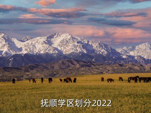  抚顺学区划分2022