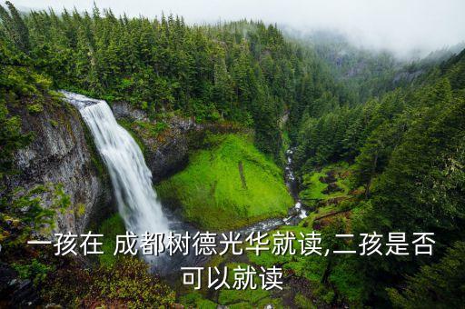 一孩在 成都树德光华就读,二孩是否可以就读