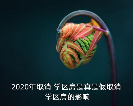 为什么以后没有学区房了,国家为什么不取消学区房