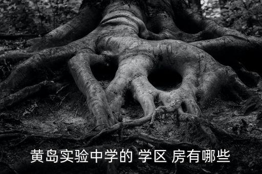 黄岛实验中学的 学区 房有哪些
