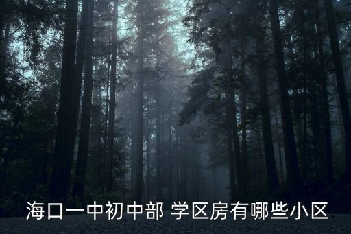 海口如何能买到好的学区房