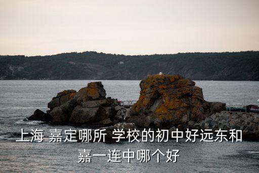 上海 嘉定哪所 学校的初中好远东和嘉一连中哪个好