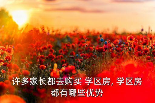 许多家长都去购买 学区房, 学区房都有哪些优势