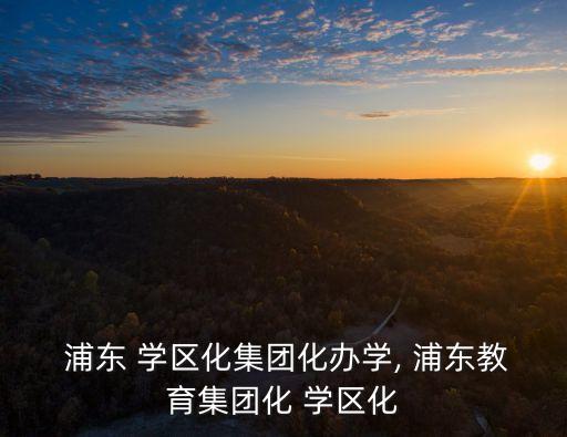  浦东 学区化集团化办学, 浦东教育集团化 学区化