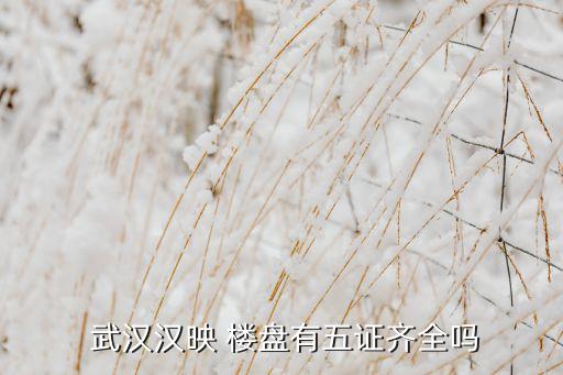  武汉汉映 楼盘有五证齐全吗
