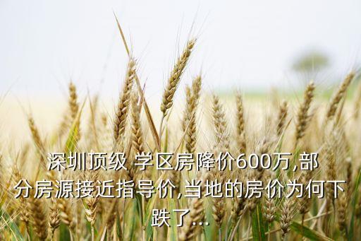  深圳顶级 学区房降价600万,部分房源接近指导价,当地的房价为何下跌了...