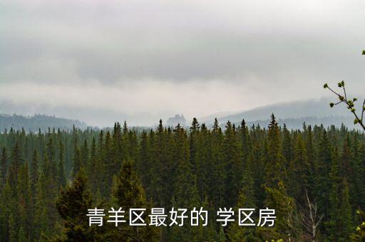 青羊区最好的 学区房