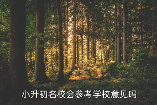  小升初名校会参考学校意见吗