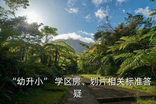 学区房网上报名怎么填资料
