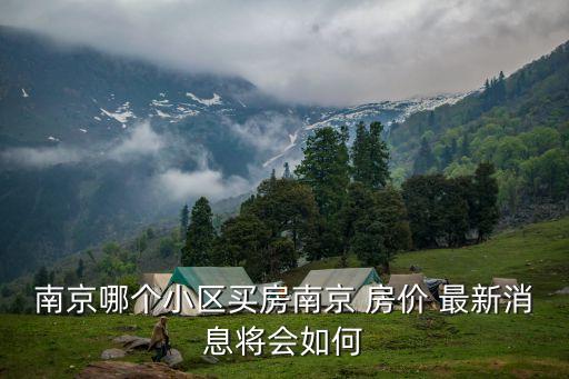 南京哪个小区买房南京 房价 最新消息将会如何