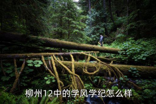  柳州12中的学风学纪怎么样
