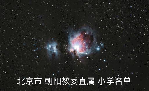 北京市 朝阳教委直属 小学名单