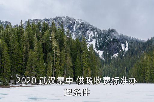 2020 武汉集中 供暖收费标准办理条件
