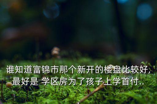 谁知道富锦市那个新开的楼盘比较好,最好是 学区房为了孩子上学首付...