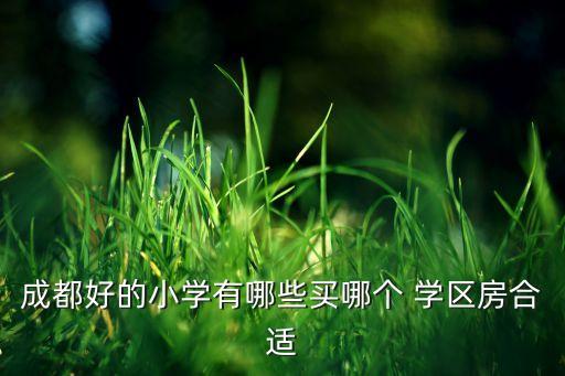 成都好的小学有哪些买哪个 学区房合适