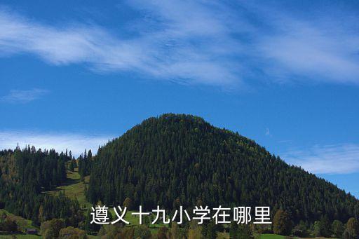  遵义十九小学在哪里