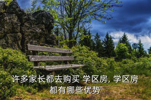 许多家长都去购买 学区房, 学区房都有哪些优势