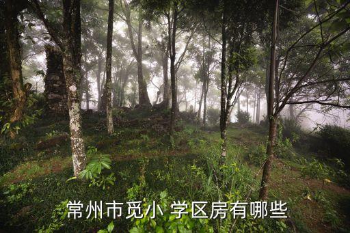  常州市觅小 学区房有哪些
