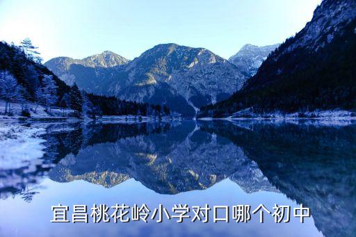宜昌六中学区房有哪些小区