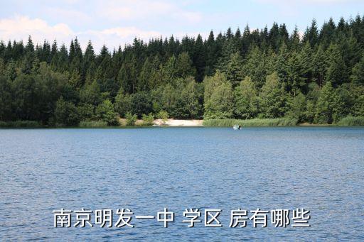 南京明发一中 学区 房有哪些