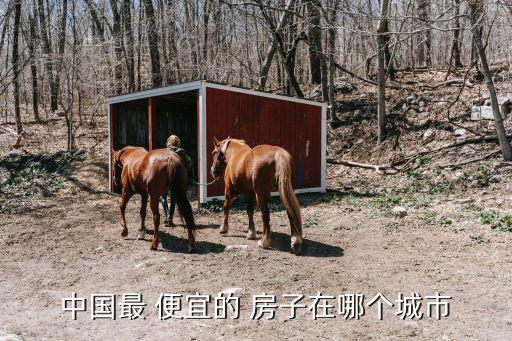 中国最 便宜的 房子在哪个城市