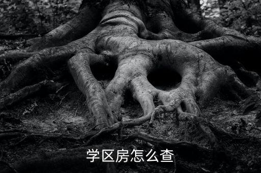 学区房怎么查