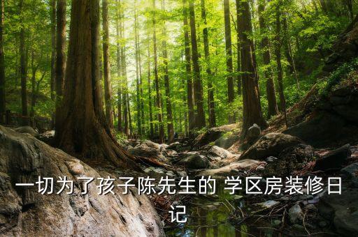 一切为了孩子陈先生的 学区房装修日记