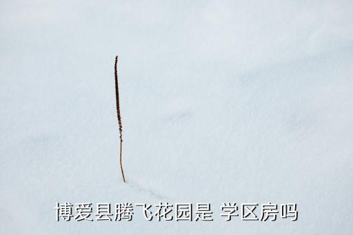 博爱县腾飞花园是 学区房吗