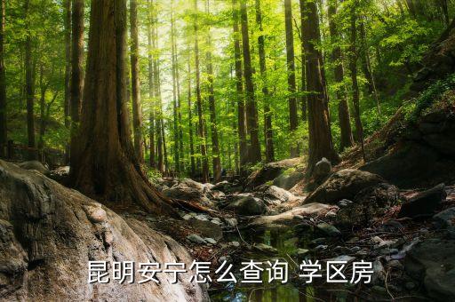  昆明安宁怎么查询 学区房