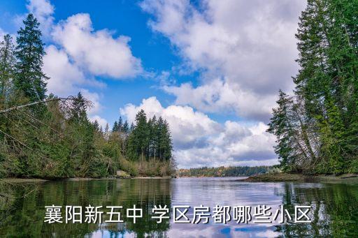 襄阳新五中 学区房都哪些小区