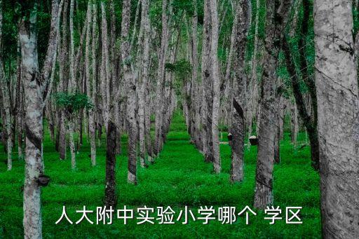 人大附中实验小学哪个 学区
