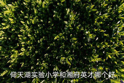 长沙仰天湖小学学区房有哪些楼盘
