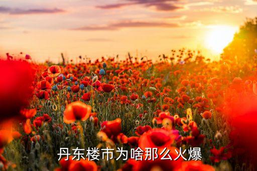丹东学区房和老区哪个好,丹东德龙家园属于哪个学区