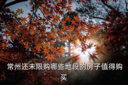  常州还未限购哪些地段的房子值得购买