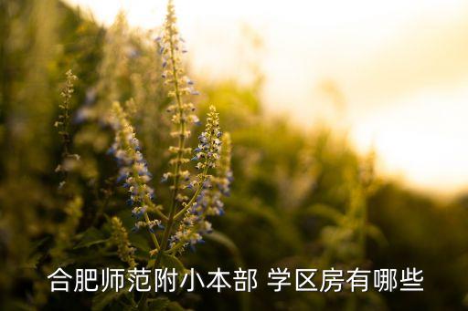  合肥师范附小本部 学区房有哪些