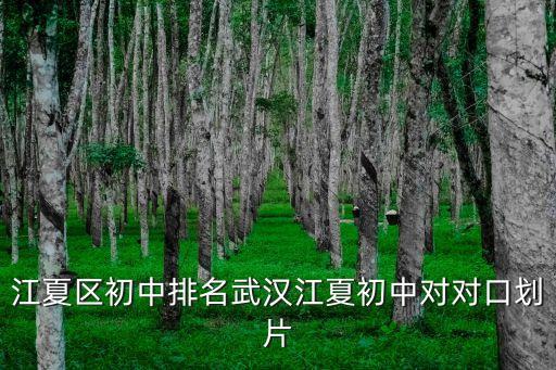 南新街哪个学区房好一点