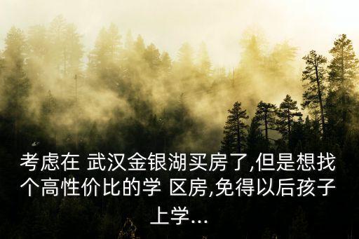 考虑在 武汉金银湖买房了,但是想找个高性价比的学 区房,免得以后孩子上学...
