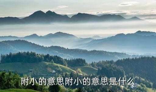 附小的意思附小的意思是什么