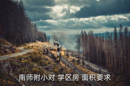 南师附小对 学区房 面积要求