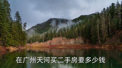 在广州天河买二手房要多少钱