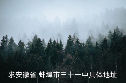 求安徽省 蚌埠市三十一中具体地址