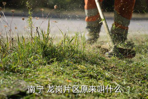 南宁龙岗哪里是学区房,南宁古城路4号学区是哪里